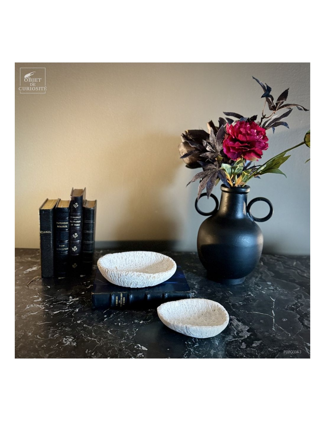 Coupe en fossile de GALAXEA – Madagascar Coupe en fossile de GALAXEA – Madagascar