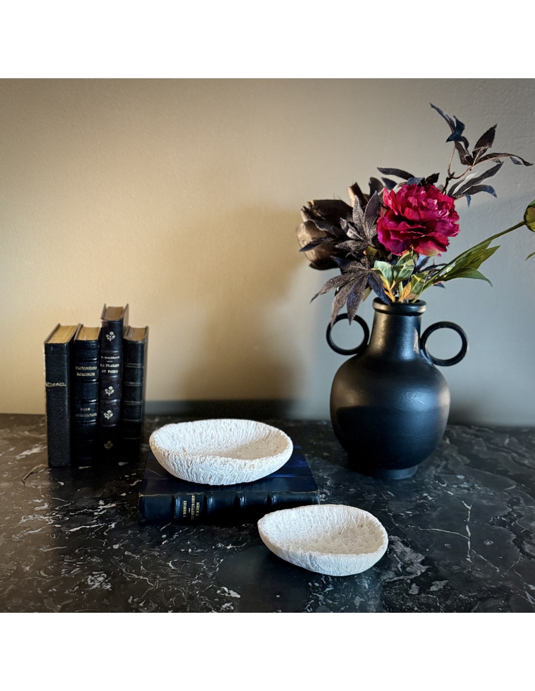 Coupe en fossile de GALAXEA – Madagascar Coupe en fossile de GALAXEA – Madagascar