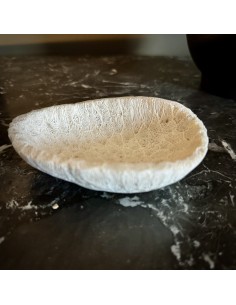 Fossilized Galaxea coral cup