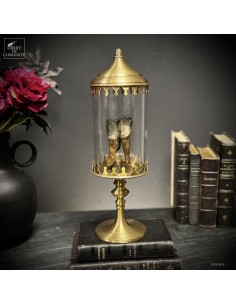 Molaire de RHINOCEROS...