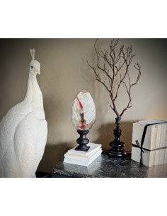 Feather hat compositions... 2