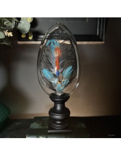 Feather hat compositions –...