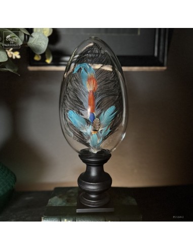 Feather hat compositions – Spring...