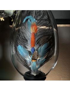 Feather hat compositions –... 2