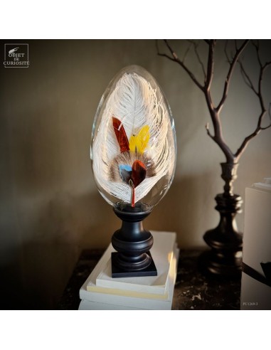 Feather hat compositions – Spring...