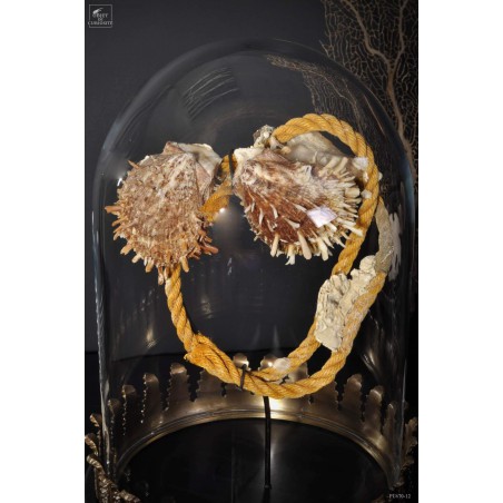 Déchet de la mer  : 2 spondyles sur corde sous globe