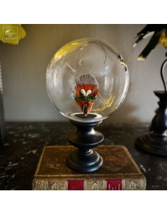 Feather hat compositions –...