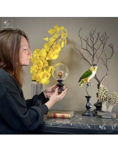 Feather hat compositions –... 2