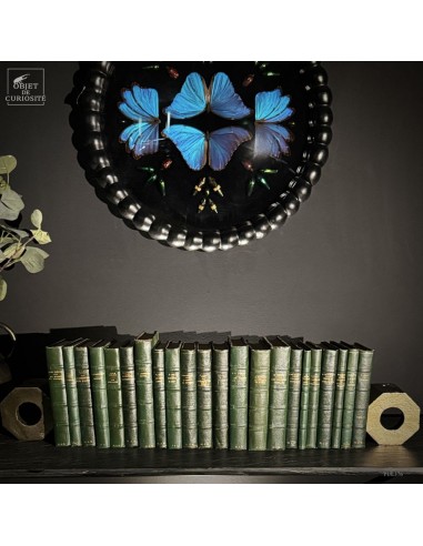 Set of 22 volumes of literary classics