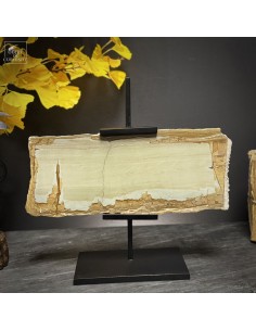 Paésine de Florence 37cm