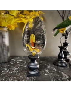 Feather hat compositions –...