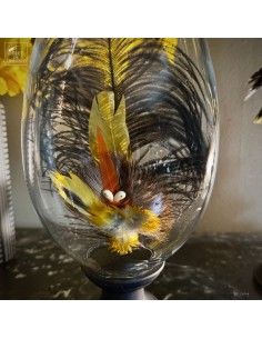 Feather hat compositions –... 2