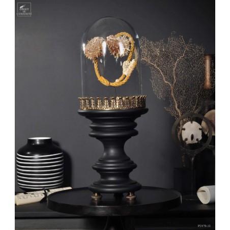 Déchet de la mer  : 2 spondyles sur corde sous globe