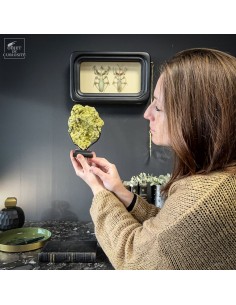 MINNESOTAITE (Autriche) 2