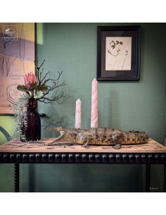 Naturalized crocodile 130cm