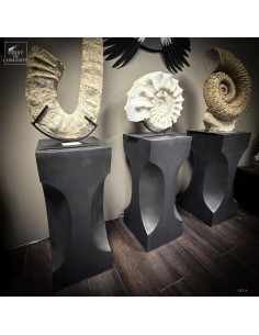 Sellette incurvée 2