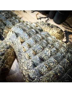 Taxidermy of a Nile... 2