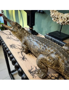 Stuffed crocodile around 100cm