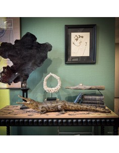 Stuffed crocodile around 100cm 2