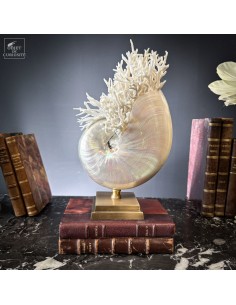 Mother of pearl NAUTILUS...