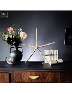 Etoile de mer 5 branches... 2