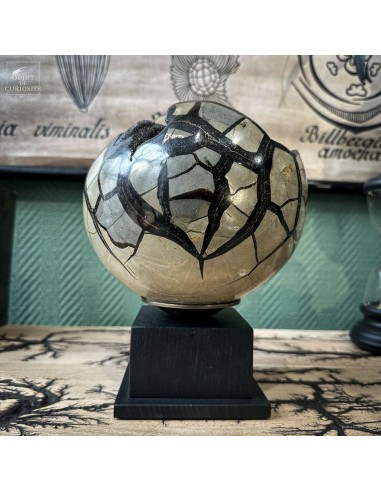 SEPTARIA  open sphere from Madagascar