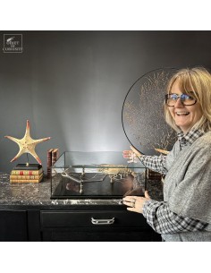 Naturalized Laos crayfish... 2