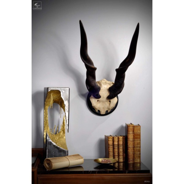 Eland trophy