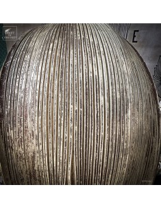 Cobra leaf of BACTRIS GASIPAES 2