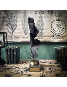 Purple fan sponge... 2