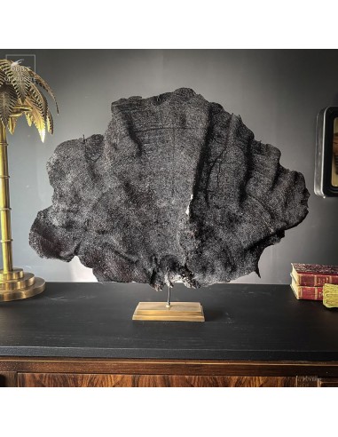 Éponge éventail violette IANTHELLA BASTA