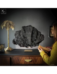 Purple fan sponge IANTHELLA... 2