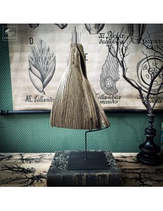 Curved palm leafof BACTRIS... 2