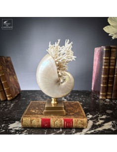 Mother of pearl NAUTILUS...