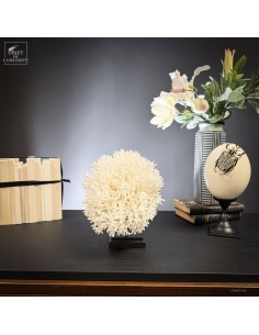 White coral SERIATOPORA... 2