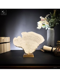 white coral -TURBINARIA R. -