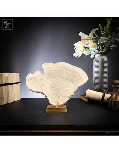 Corail CUP -TURBINARIA RENIFORMIS -...