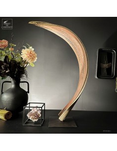 Cobra leaf of BACTRIS GASIPAES