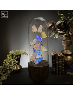 5 papillons MORPHO SULKOWSKII