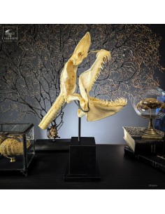 Complete Mako skull on...