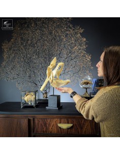 Complete Mako skull on... 2