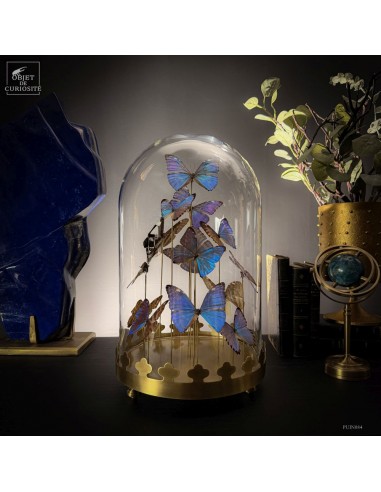 Flight of 14 blue butterflies (MORPHO...