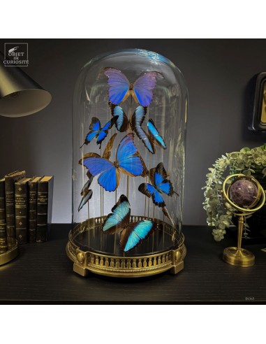 Flight of 11 blue butterflies...