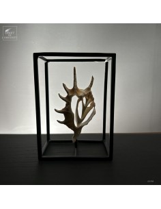 Central slice of LAMBIS...