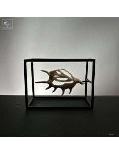 Central slice of LAMBIS... 2