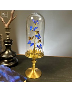 8 papillons bleus...