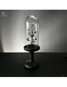 9 papillons bleus JAMIDES...