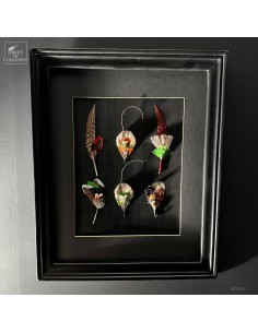 Tableau de 6 compositions...