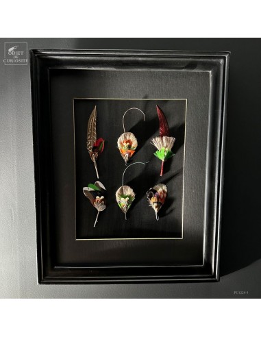 Tableau de 6 compositions de plumes...