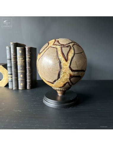 Sphère de septaria de 5.5kg